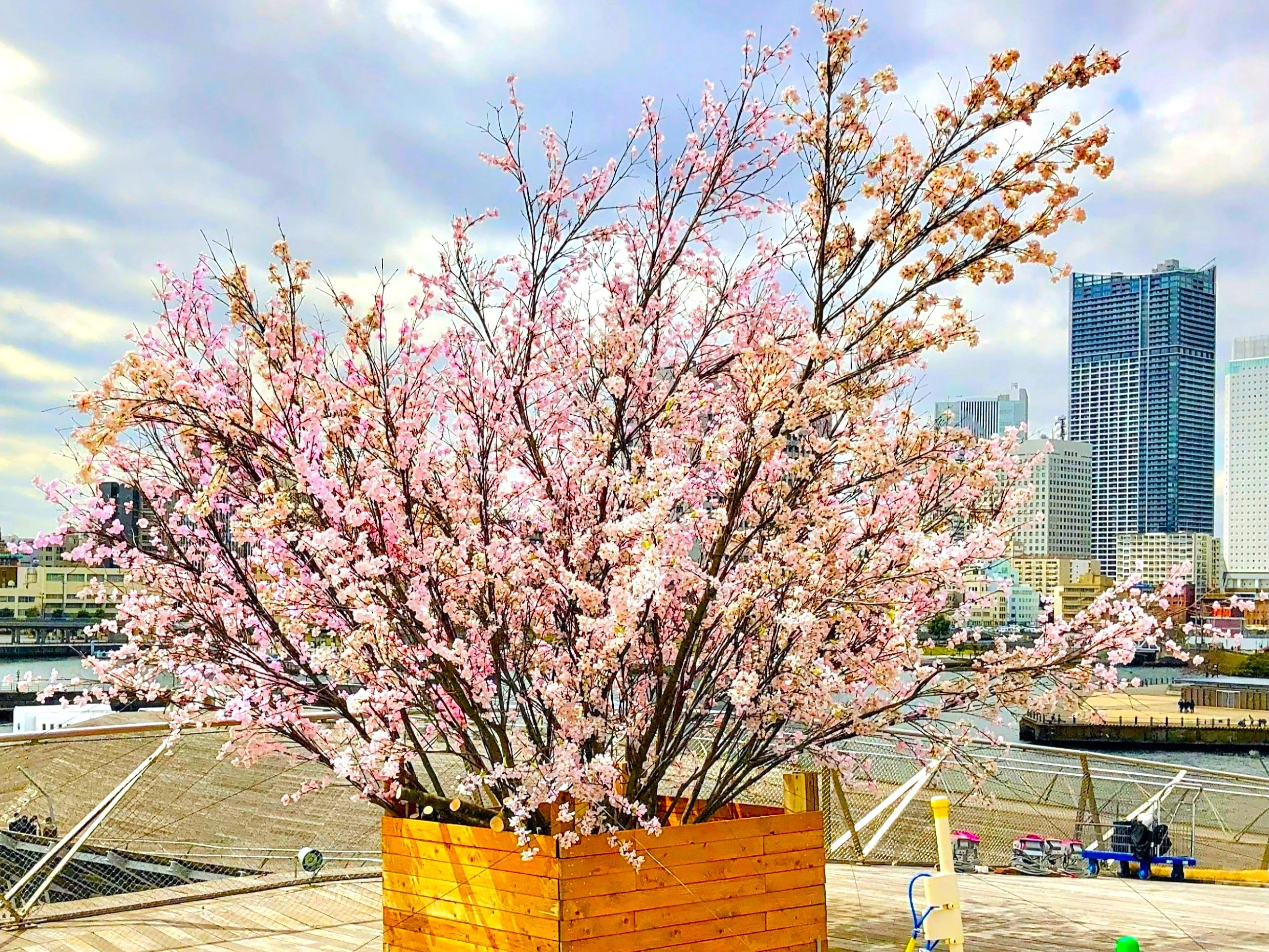 フローリストナオ