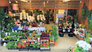 フローリスト・ナオの山元町本店舗案内