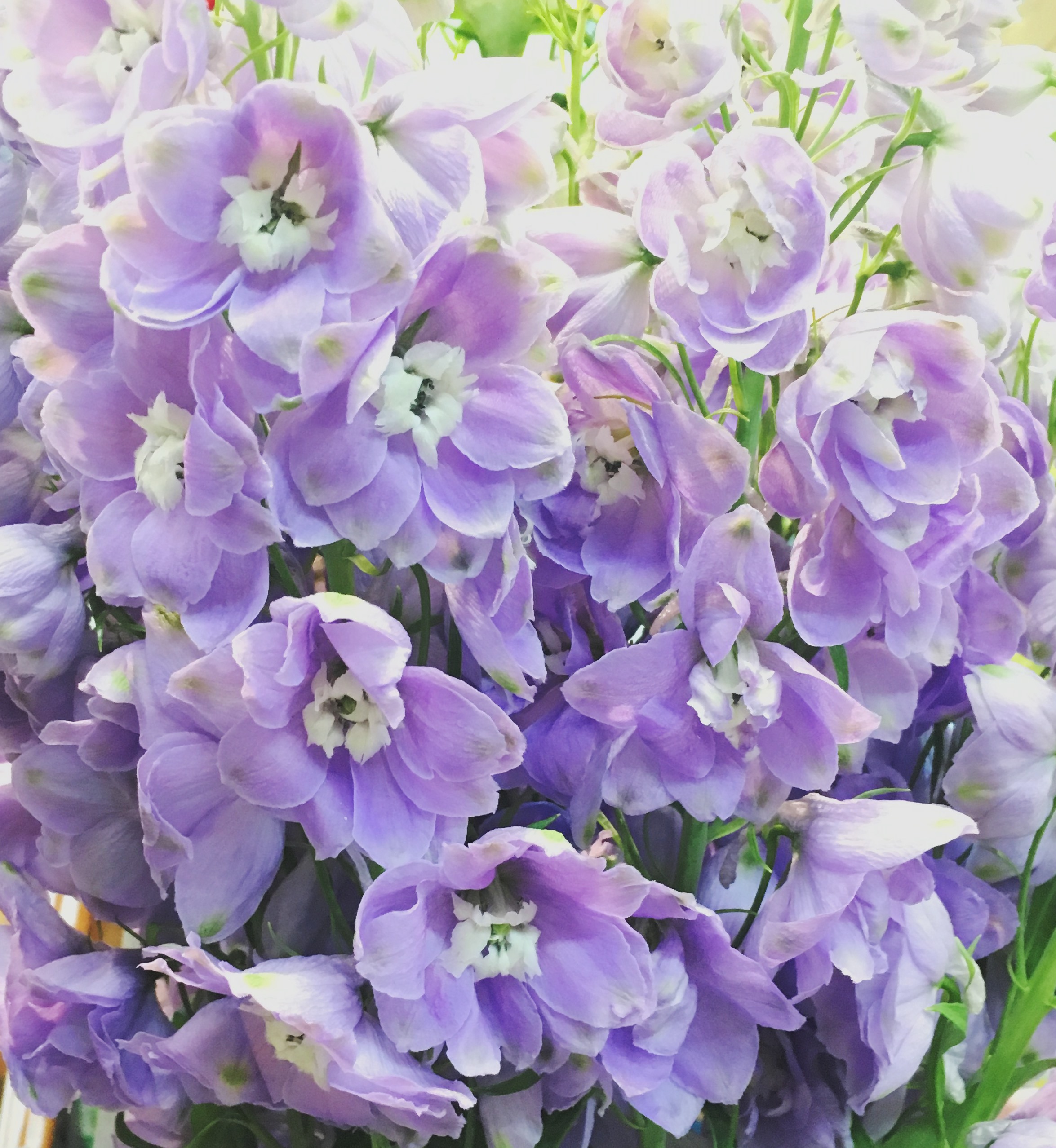 【ナオ花屋の納品事例233】横浜市関内の法人企業様へ花束を当日・即日配達しました！