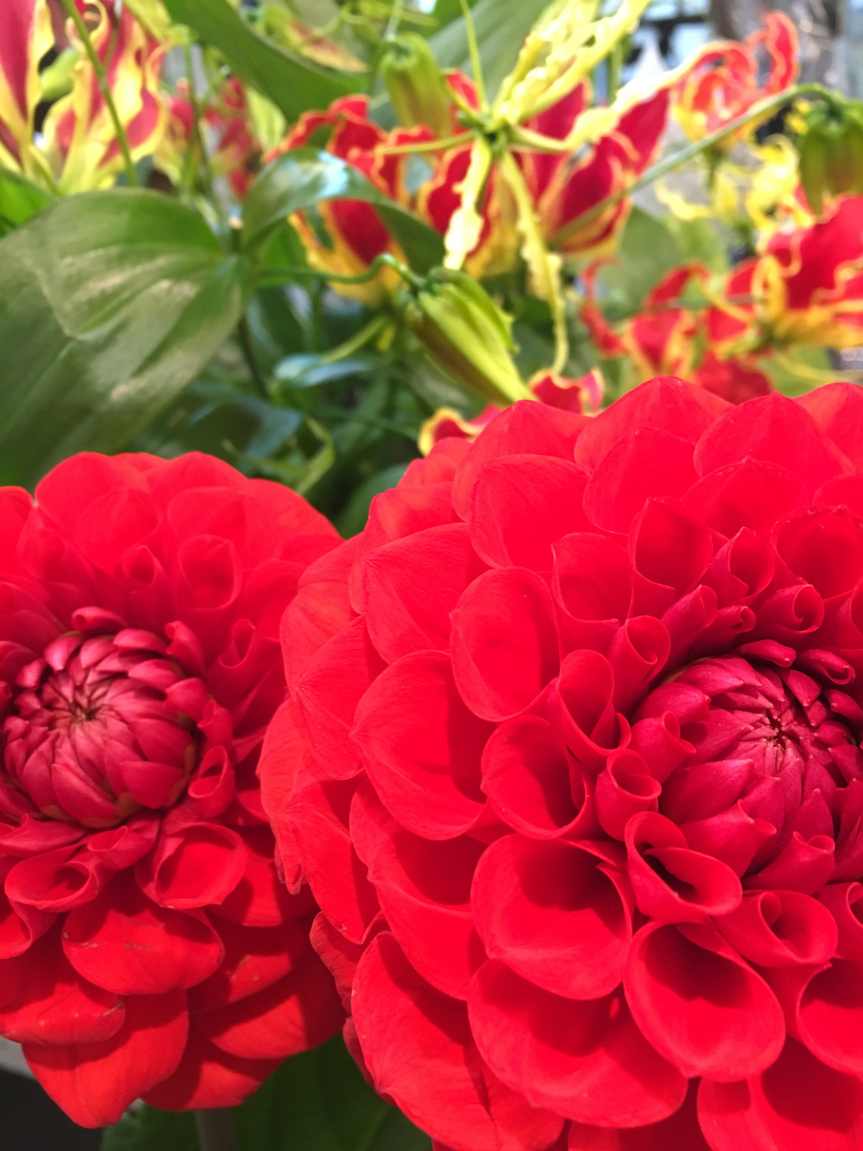 【ナオ花屋の納品事例233】横浜市関内の法人企業様へ花束を当日・即日配達しました！