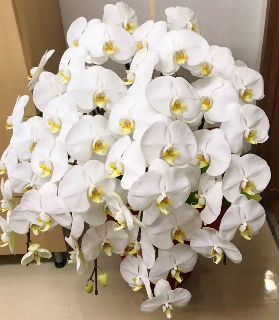 横浜メルパルクへスタンド花を当日即日配達しました！【横浜花屋の花束・スタンド花・胡蝶蘭・バルーン・アレンジメント配達事例389】