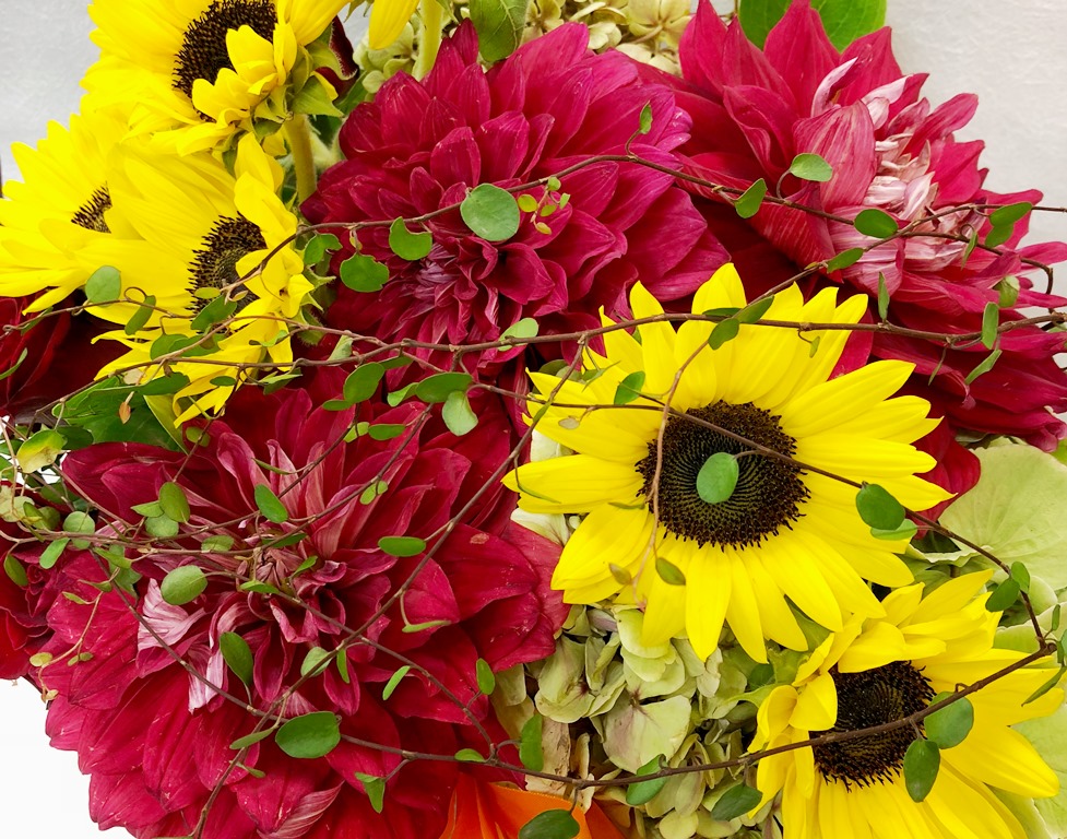 関内弁天通へ胡蝶蘭を即日当日配達しました！【横浜花屋の花束・スタンド花・胡蝶蘭・バルーン・アレンジメント配達事例436】