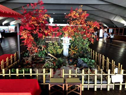 横浜港大さん橋国際客船ターミナルで秋のディスプレイをしました【横浜花屋の花束・スタンド花・胡蝶蘭・バルーン・アレンジメント配達事例479】