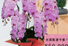 横浜市中区長者町へスタンド花を即日当日配達しました。【横浜花屋の花束・スタンド花・胡蝶蘭・バルーン・アレンジメント配達事例483】