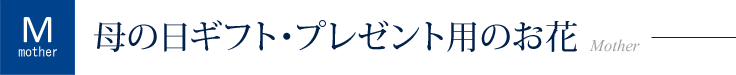 母の日ギフト・プレゼント用のお花