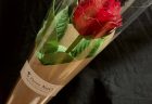 横浜市中区へバラの花束を即日当日配達させていただきました。【横浜花屋の花束・スタンド花・胡蝶蘭・バルーン・アレンジメント配達事例657】