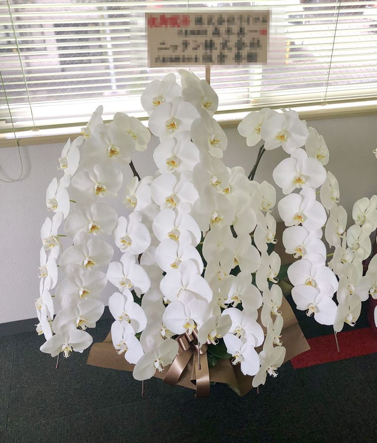 横浜市本牧間門へ５本立て胡蝶蘭を配達しました。【横浜花屋の花束・スタンド花・胡蝶蘭・バルーン・アレンジメント配達事例689】