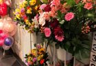 横浜市港北区へ観葉植物を即日当日配達しました。【横浜花屋の花束・スタンド花・胡蝶蘭・バルーン・アレンジメント配達事例697】