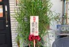 横浜市関内へスタンド花を即日当日配達しました。【横浜花屋の花束・スタンド花・胡蝶蘭・バルーン・アレンジメント配達事例696】