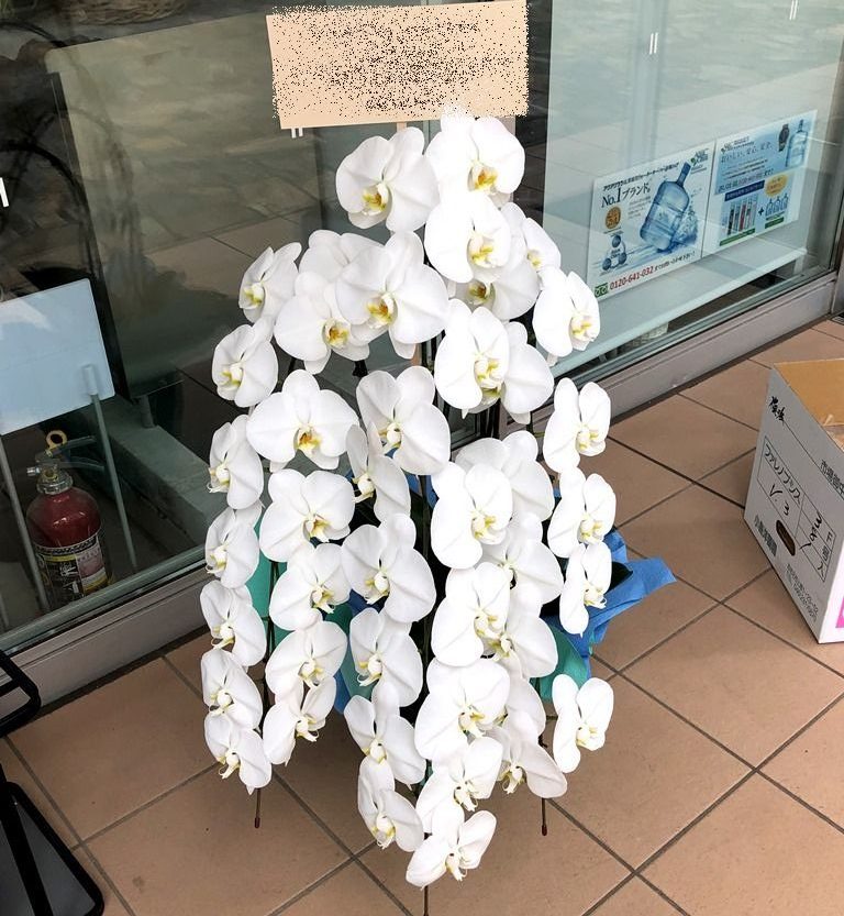 横浜市みなとみらいへ胡蝶蘭を配達しました。【横浜花屋の花束・スタンド花・胡蝶蘭・バルーン・アレンジメント配達事例723】