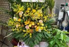 横浜市関内へアレンジメントを即日当日配達しました。【横浜花屋の花束・スタンド花・胡蝶蘭・バルーン・アレンジメント配達事例774】