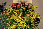 横浜市関内へスタンド花を即日当日配達しました。【横浜花屋の花束・スタンド花・胡蝶蘭・バルーン・アレンジメント配達事例807】