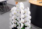横浜市役所へ花束を即日当日配達しました。【横浜花屋の花束・スタンド花・胡蝶蘭・バルーン・アレンジメント配達事例889】