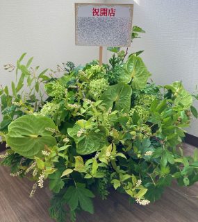 横浜市南幸へアレンジメントを即日当日配達しました。【横浜花屋の花束・スタンド花・胡蝶蘭・バルーン・アレンジメント配達事例906】