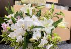 横浜市関内へ７本立の胡蝶蘭を配達しました。【横浜花屋の花束・スタンド花・胡蝶蘭・バルーン・アレンジメント配達事例929】