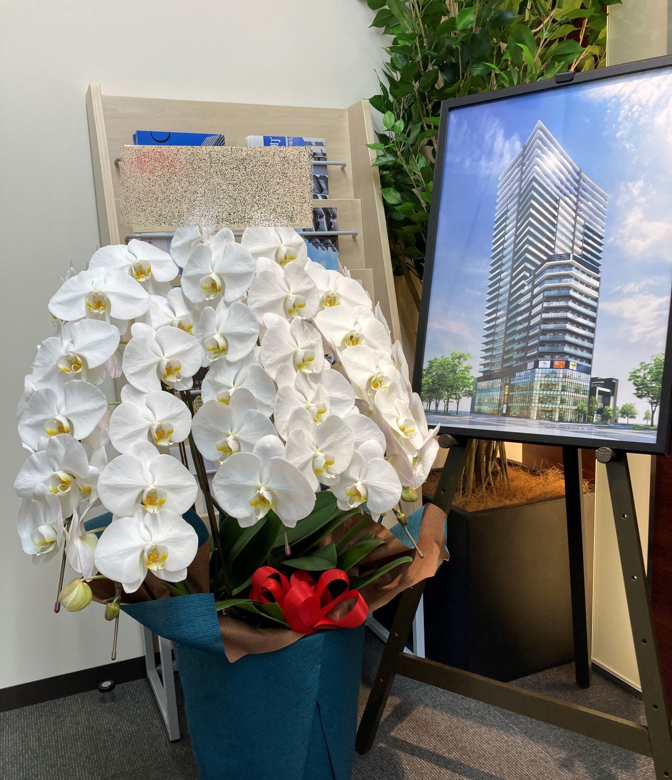 横浜市北幸へお祝いの胡蝶蘭を即日当日配達しました。【横浜花屋の花束・スタンド花・胡蝶蘭・バルーン・アレンジメント配達事例969】