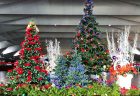 横浜港大さん橋国際客船ターミナルへクリスマスツリーを設置させていただきました。【横浜花屋の花束・スタンド花・胡蝶蘭・バルーン・アレンジメント配達事例985】