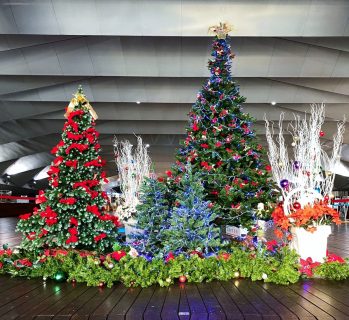 横浜港大さん橋国際客船ターミナルへクリスマスツリーを設置させていただきました。【横浜花屋の花束・スタンド花・胡蝶蘭・バルーン・アレンジメント配達事例985】