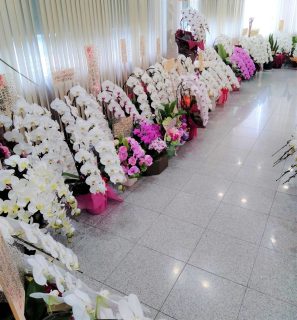 胡蝶蘭を即日当日配達しました。【横浜花屋の花束・スタンド花・胡蝶蘭・バルーン・アレンジメント配達事例1036】