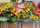 横浜市南幸へ公演祝いのスタンド花を配達しました。【横浜花屋の花束・スタンド花・胡蝶蘭・バルーン・アレンジメント配達事例1039】