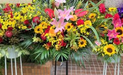 横浜市南幸へ開店祝い用のスタンド花を即日当日配達しました。【横浜花屋の花束・スタンド花・胡蝶蘭・バルーン・アレンジメント配達事例1038】