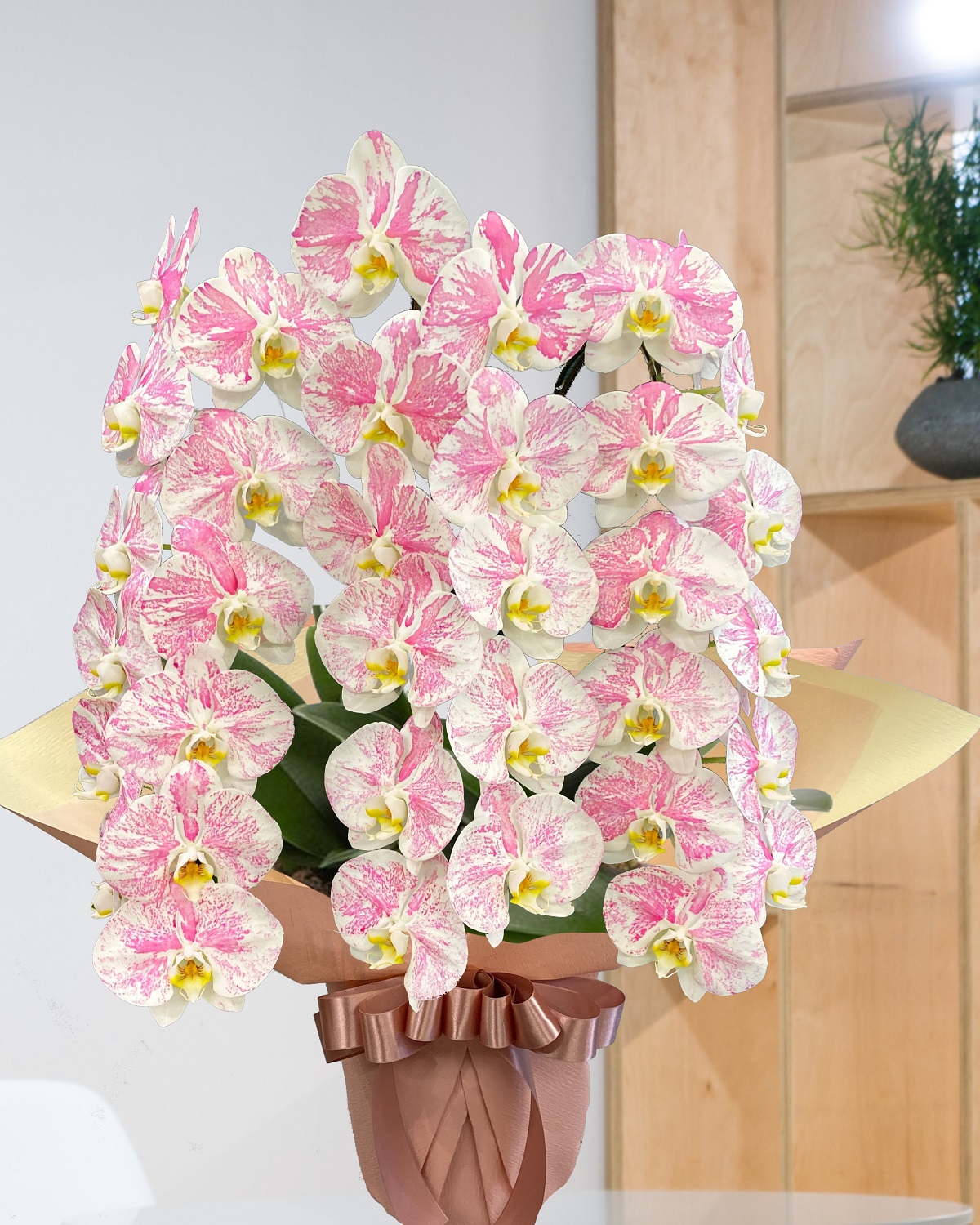 ピンクかすり3本立胡蝶蘭 横浜の花屋florist Naoは無料配達 関内 みなとみらいなど配達実績多数 ピンクかすり3本立胡蝶蘭 横浜の花屋florist Naoは無料配達 関内 みなとみらいなど配達実績多数