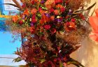 シックな赤系2段ボリュームアップスタンド花を配達しました。【横浜花屋の花束・スタンド花・胡蝶蘭・バルーン・アレンジメント配達事例1061】