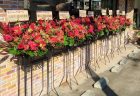 横浜市大倉山へ赤系スタンド花を配達しました。【横浜花屋の花束・スタンド花・胡蝶蘭・バルーン・アレンジメント配達事例1075】