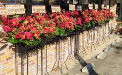 横浜市大倉山へ赤系スタンド花を配達しました。【横浜花屋の花束・スタンド花・胡蝶蘭・バルーン・アレンジメント配達事例1075】