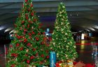 大さん橋国際客船ターミナルにクリスマスツリーを設置しました。【横浜花屋の花束・スタンド花・胡蝶蘭・バルーン・アレンジメント配達事例1078】