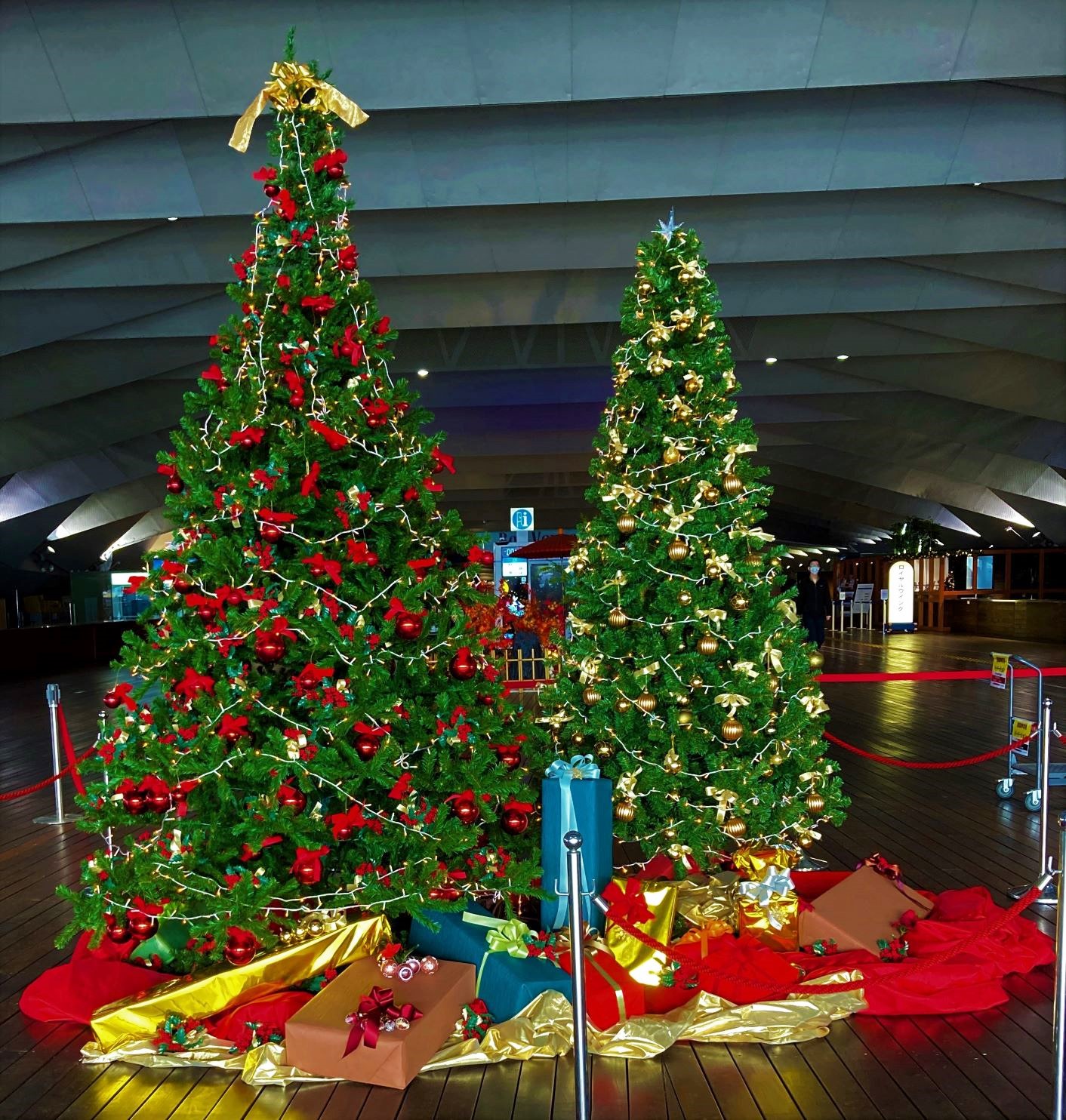 大さん橋国際客船ターミナルにクリスマスツリーを設置しました。【横浜花屋の花束・スタンド花・胡蝶蘭・バルーン・アレンジメント配達事例1078】