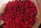 関内弁天通へ赤いバラ100本の花束を配達しました。【横浜花屋の花束・スタンド花・胡蝶蘭・バルーン・アレンジメント配達事例1085】