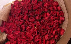 関内弁天通へ赤いバラ100本の花束を配達しました。【横浜花屋の花束・スタンド花・胡蝶蘭・バルーン・アレンジメント配達事例1085】