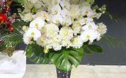横浜市みなとみらいへ胡蝶蘭入り白系スタンド花を配達しました。【横浜花屋の花束・スタンド花・胡蝶蘭・バルーン・アレンジメント配達事例1110】