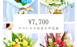 スペシャルおまかせ花束