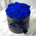 Photoroom_001_20250824_160114-