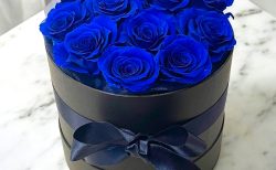 ローズボックスBlue 【12 Dozen Roses】