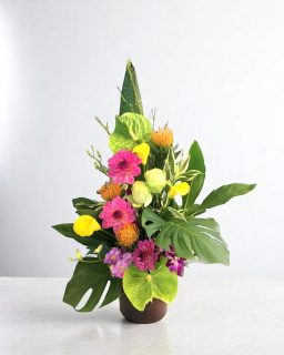 おまかせ壺花10