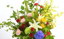 おまかせ壺花11