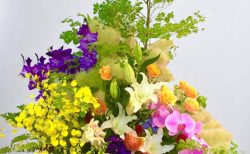 おまかせ壺花13