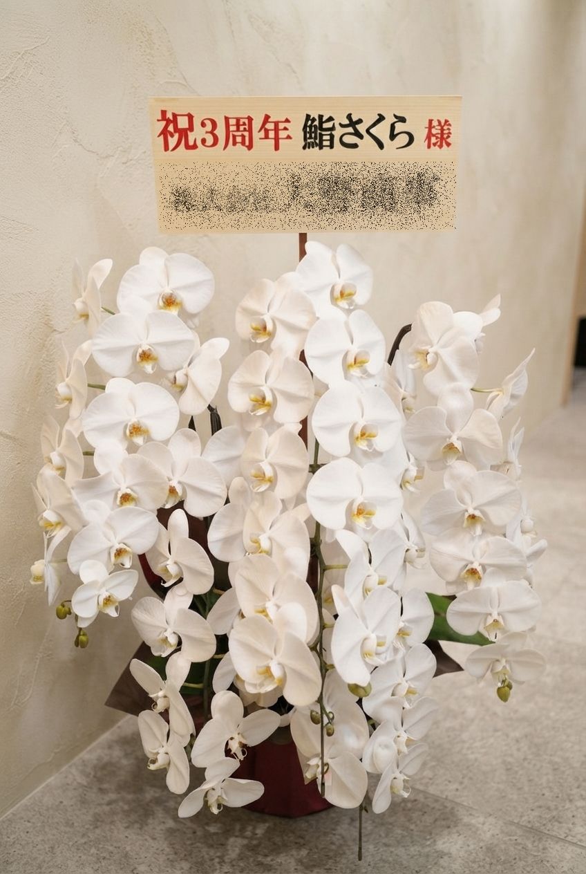 関内にあるお寿司屋さんへ白の5本立胡蝶蘭を即日配達しました。【横浜花屋の花束・スタンド花・胡蝶蘭・バルーン・アレンジメント配達事例1194】